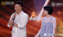 王菲胡军最新爆料,娱乐圈背后的故事大公开